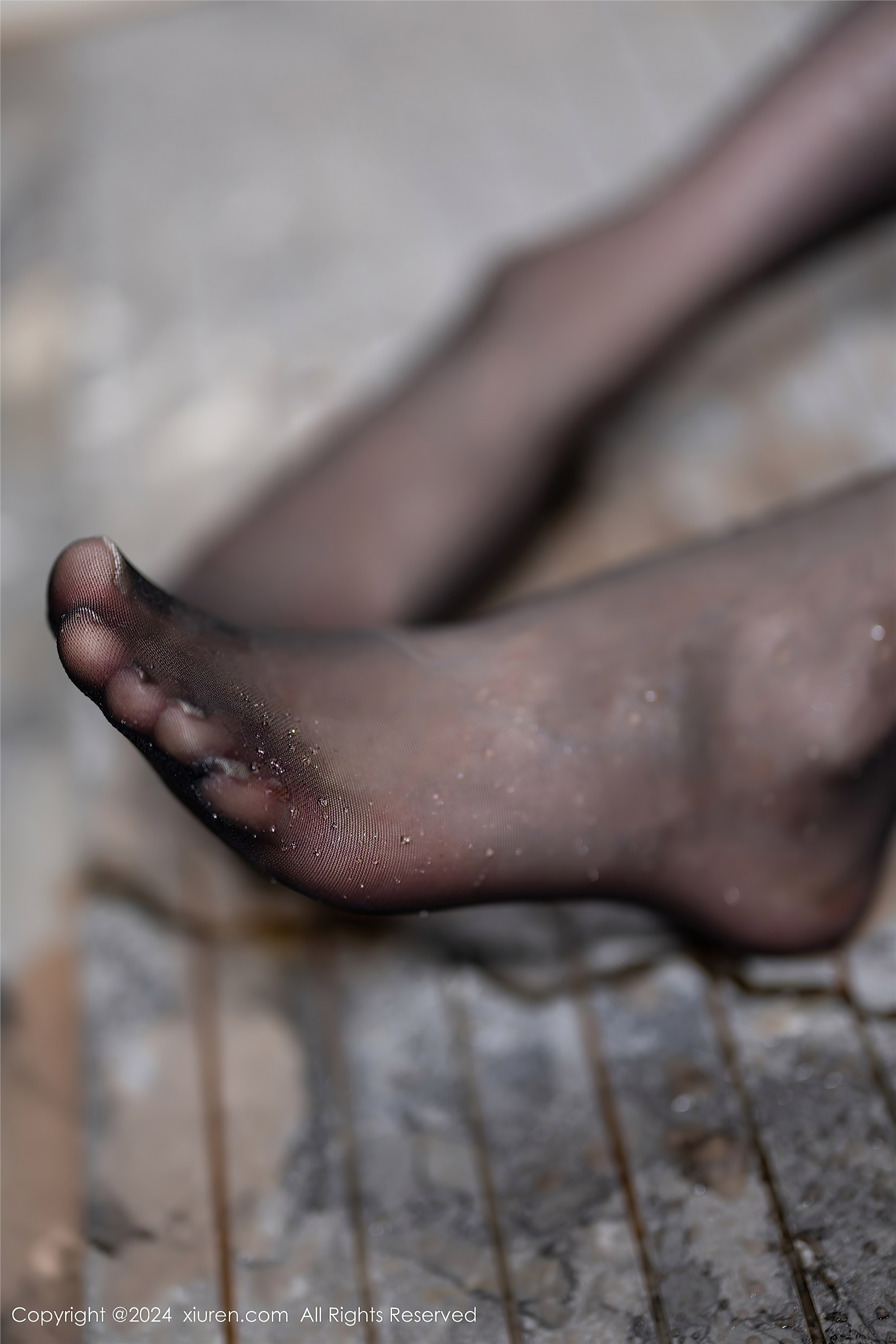 Xiuren秀人网 2024.03.21 NO.8267 梦心玥